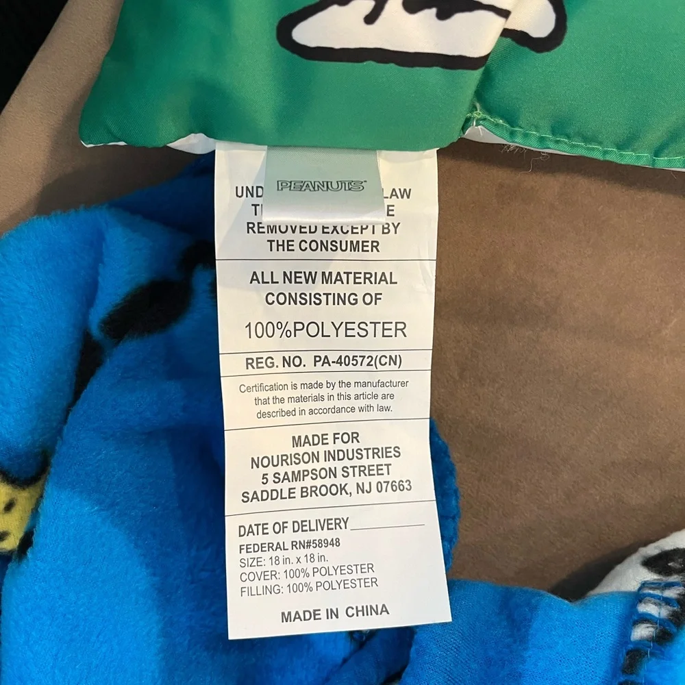 Peanuts Snoopy Best Friends Blue Blanket with Pillow